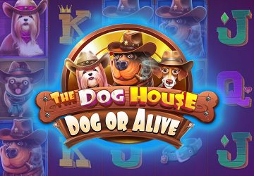 Playtech - игровой автомат онлайн от Various с RTP 95.32%